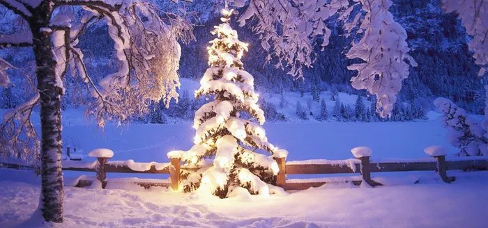 圣诞夜雪景高清