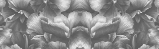 黑白质感花朵海报背景高清