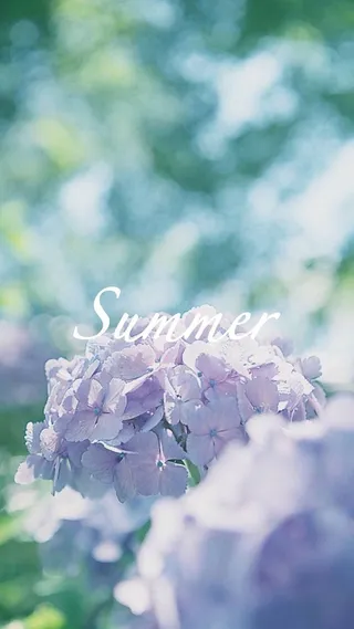 文艺清新花卉植物H5背景高清