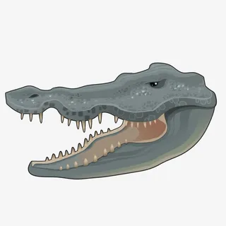 矢量扬子鳄免抠