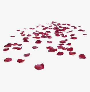 一片红色的花瓣免抠