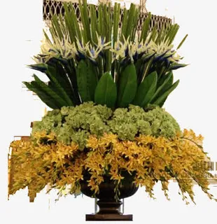 花朵绿色花朵绿叶免抠