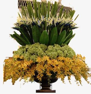 花朵绿色花朵绿叶免抠