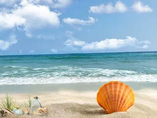 初夏上新－你好大海高清