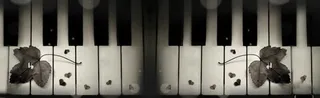 黑白钢琴唯美背景banner