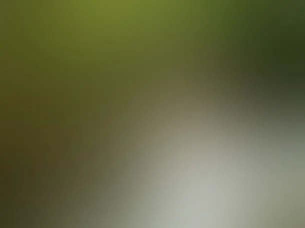 灰绿色高清背景PPT专用模板