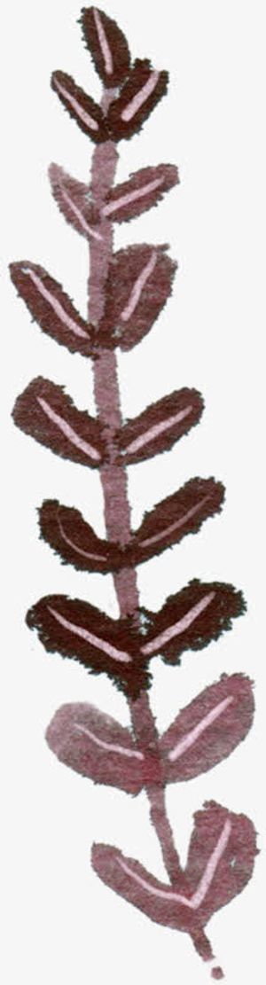 手绘水墨仙人掌儿童免抠