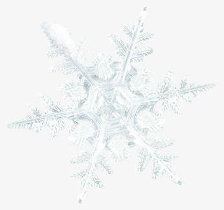 清新白色冬季雪花图标免抠