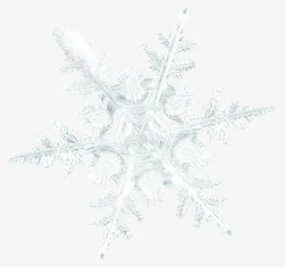清新白色冬季雪花图标免抠