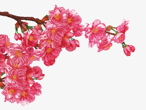 矢量花朵免抠