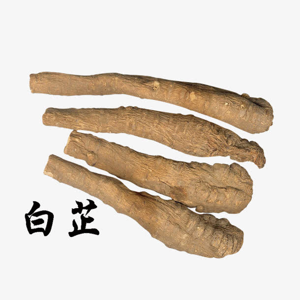 中药白芷免抠