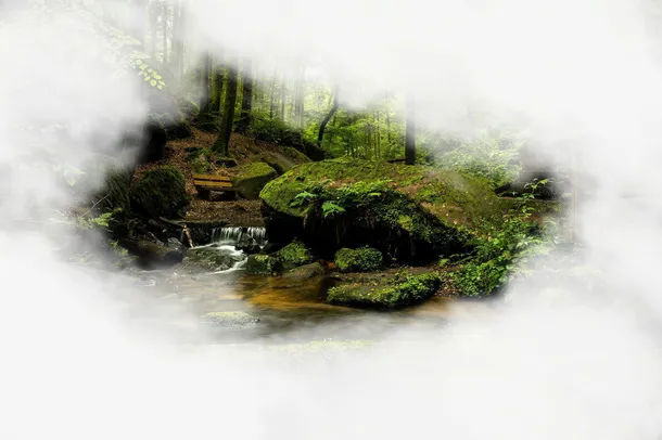 春天绿色森林树木免抠