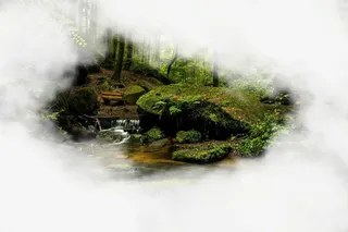 春天绿色森林树木免抠