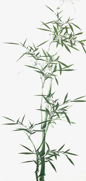 竹子水墨素材免抠 竹子水墨素材免抠