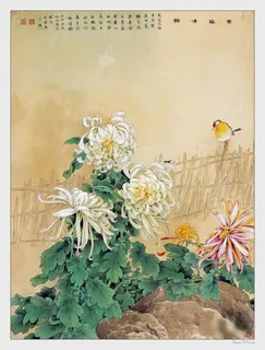 中国名家白色菊花画集免抠 中国名家白色菊花画集免抠
