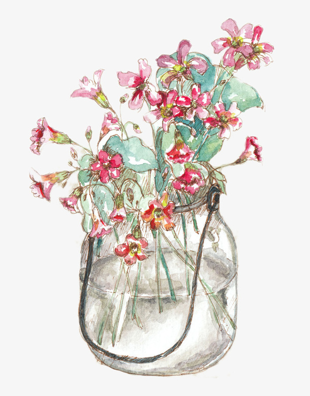 手绘植物免抠