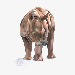 棕色犀牛免抠