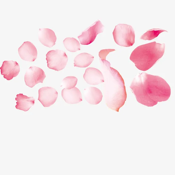 粉色花瓣免抠