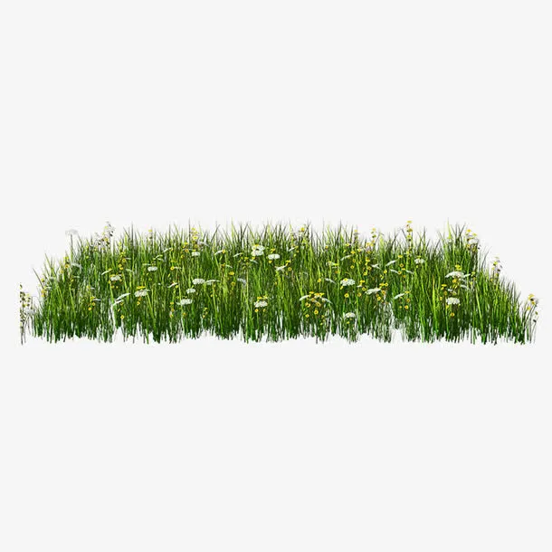 花草地免抠