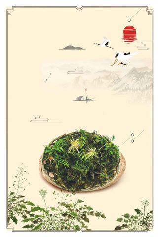 简约中国风荠菜美食高清