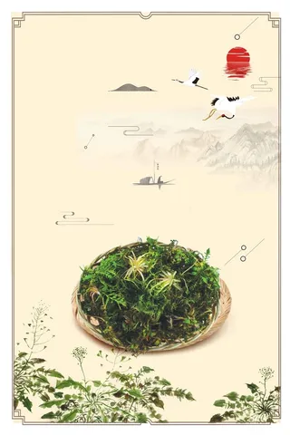 简约中国风荠菜美食高清