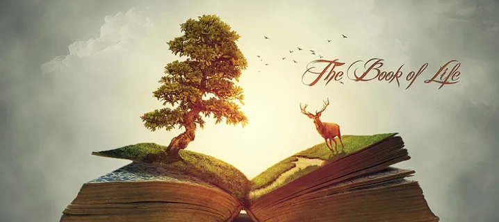 书籍教育卡通背景banner高清