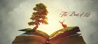 书籍教育卡通背景banner高清