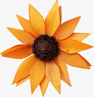 唯美抽象鲜花图片免抠