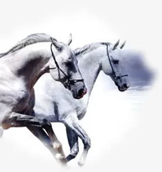 白色创意手绘战马免抠