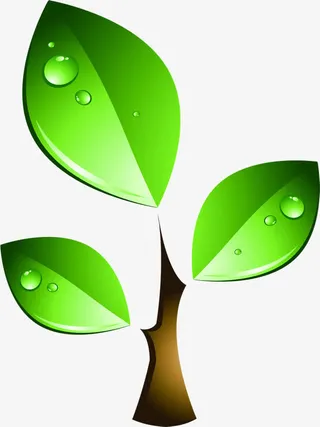 春天绿色树叶水滴免抠