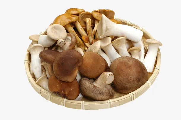 一篮子蘑菇免抠