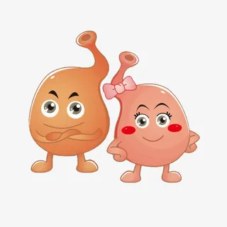 卡通肠胃图免抠
