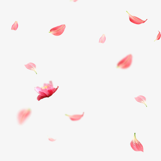 唯美的粉色漂浮花瓣免抠