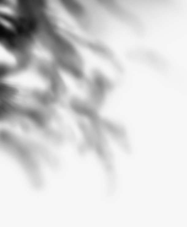 光效影子白光免抠