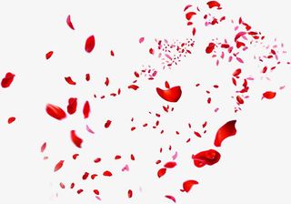 红色散落玫瑰花瓣免抠