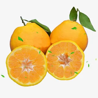 耙耙柑与叶子图片素材免抠