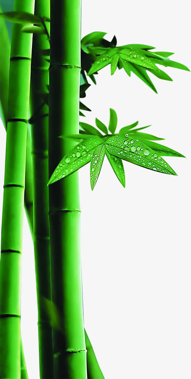 绿色清爽粽叶端午节日免抠