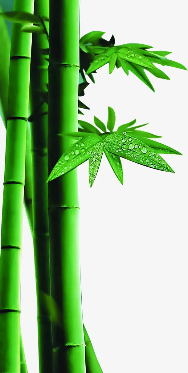 绿色清爽粽叶端午节日免抠