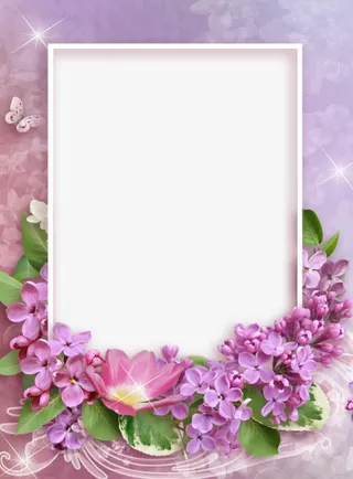 紫色薰衣草相框免抠