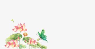 荷叶荷花蝴蝶，png免扣素材免抠