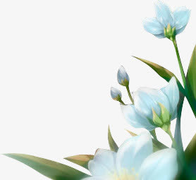 淡蓝色花朵免抠