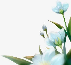 淡蓝色花朵免抠