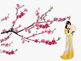 梅花树下的女子免抠