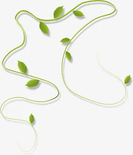 春天手绘绿色树叶藤蔓免抠