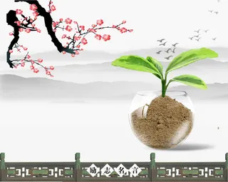 植物发芽素材免抠