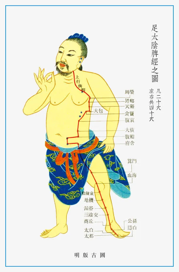 穴位图图片免抠