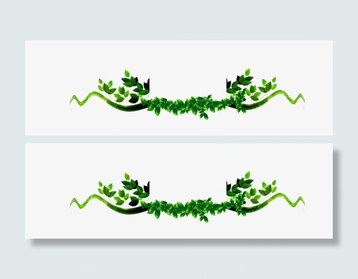 植物树木边框素材免抠