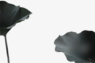 水墨风荷叶免抠