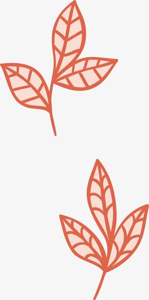 手绘树叶底纹免抠