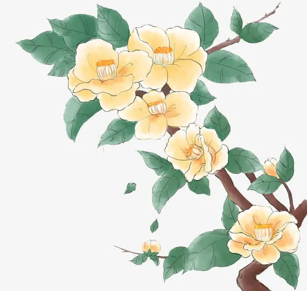 手绘山茶花矢量图素材免抠